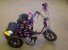 Kitten trike with streamers and personalised decals